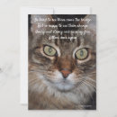 Pesquisar por perda do gato cartoes For pets