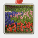 Pesquisar por holanda ornamentos Vermelho
