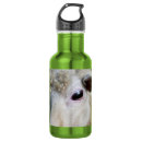 Pesquisar por ovelhas garrafa agua Engraçado