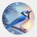 Pesquisar por bluejay Inverno