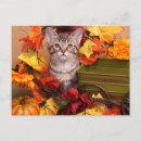 Pesquisar por caridade cartoes postais Gatinhos