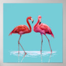 Pesquisar por amor flamingo pósteres pôsteres For her