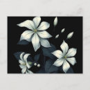 Pesquisar por jasmine cartoes postais Flores