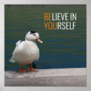 Pesquisar por pato branco pôsteres Pássaro