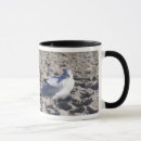 Pesquisar por gaivota de mar canecas Café