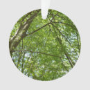 Pesquisar por ecológico ornamentos Verde