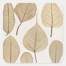 Pesquisar por desenho botânico adesivos Folhas