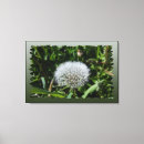 Pesquisar por dandelion impressão de canvas Verde