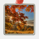 Pesquisar por alvorecer ornamentos Floresta