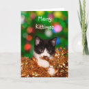 Pesquisar por tuxedo kitten cartoes Feriado