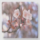 Pesquisar por flor japonesa porta copos Flor de cereja