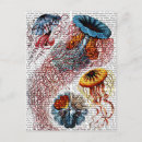 Pesquisar por sea cartoes postais Mar