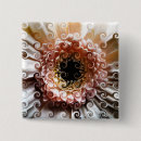 Pesquisar por gerberas botons Rosa