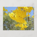 Pesquisar por porte postal amarelo Flores