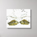 Pesquisar por réptil impressão de canvas Répteis