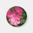 Pesquisar por flores delicadas imas Natureza