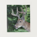 Pesquisar por cervos da cauda branca Antlers