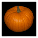 Pesquisar por com fundo preto pôsteres Comida