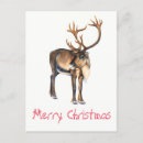 Pesquisar por natal pintado mão cartoes postais Inverno