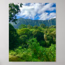 Pesquisar por oahu pôsteres Ilha