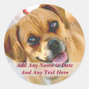 Pesquisar por criar seus próprios adesivos Foto