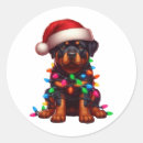 Pesquisar por rottweiler adesivos Giro
