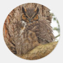 Pesquisar por douglas adesivos Natureza