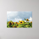 Pesquisar por flores bonito impressão de canvas Girassol