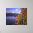 Pesquisar por arbusto impressão de canvas Paisagem