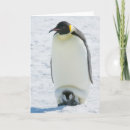 Pesquisar por parentalidade cartoes Engraçado