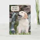 Pesquisar por golden retriever puppy cartoes Boot