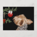 Pesquisar por yorkshire terrier christmas cartoes postais Yorkie