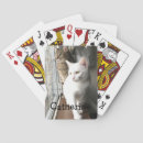 Pesquisar por gato baralhos Meow
