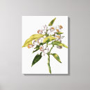 Pesquisar por fleur impressão de canvas 17o