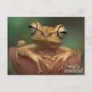 Pesquisar por sapo engraçado cartoes postais Verde