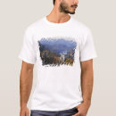 Pesquisar por castelo de neuschwanstein camisetas Paisagem