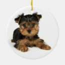 Pesquisar por yorkie ornamentos Yorkshire terrier