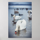Pesquisar por cisne branca artes pôsteres Para eles