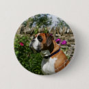 Pesquisar por canino botons Foto
