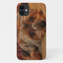 Pesquisar por yorkshire iphone capas Cachorro