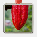 Pesquisar por cacau ornamentos Vermelho