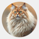 Pesquisar por norueguês adesivos Gato florestal norueguês