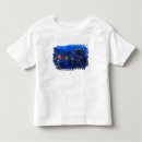 Pesquisar por encosta camisetas Cidade
