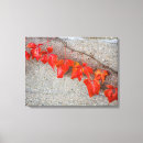 Pesquisar por folhas coloridas impressão de canvas Vermelho