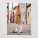 Pesquisar por raiva cartoes postais Exterior