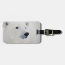 Pesquisar por predador bagagem tags Urso