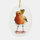 Pesquisar por marrons ornamentos Natureza