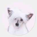 Pesquisar por credo adesivos Creme chinês