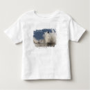 Pesquisar por borrado camisetas Viagem