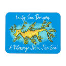 Pesquisar por cavalo marinho imas Vida marinha